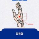 체했을때 증상 대처법, 지압 부터 약 손따기 선택까지 이미지