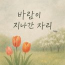 바람이지나간자리 이미지