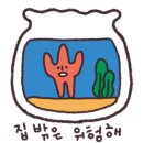 불가사리스튜디오