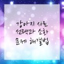 올바른 동물병원 이미지