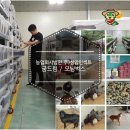영양의보고 &#34;식용곤충&#34; 미래 식량난의 해결사 【굼드림 / 모닝벅스】 농업회사법인(주)성암인섹트