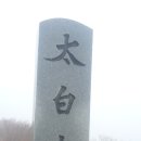 유일사 이미지