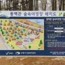 용두해수욕장숲속야영장 이미지