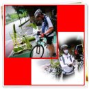 갈마치로 이미지