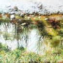 수묵화&문인화(주간) 이미지