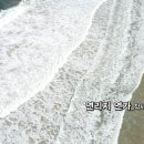 가을특집_포크 발라드_연리지 연가_작사 전해정_가수 소연_작 편곡 수노_기획 프로듀서 윤기영 이미지
