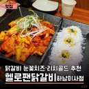 미사강변중앙로47번길 | 미사역 맛집 눈꽃치즈·리치골드 닭갈비 후기 | 헬로팬닭갈비 하남미사점