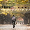 느티나무길 이미지