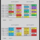 인셀덤국가대표