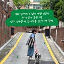 [한겨레출판 하니포터 10기] 난생처음 어린 개와 살게 된 한 소설가의 애틋한 모험담, 어린 개가 왔다...