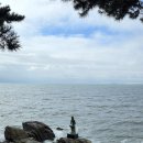 한국의정원 | 한국의 아름다운 정원, 죽도 상화원 가는 법! 숨겨진 매력 7가지