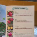 하늘농장 | 문경 하늘농장 사과, 후기 이벤트 당첨/ &#39;B품 15과&#39; 한 박스(4.5kg) 송부