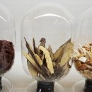 청라홈마트 이미지