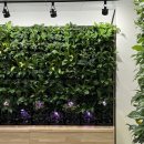 청양읍사무소 이미지