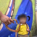 자연생태어린이집 이미지