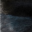 군산필스 이미지