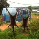 새순2농장 이미지