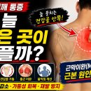 늘 뭉치는 견갑골 안쪽 통증 왜 계속 반복될까? 이미지