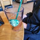 엔티크 독 이미지