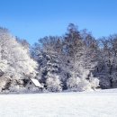 내일 행정사 사무소 이미지