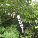 산동면 월산마을 티스토리