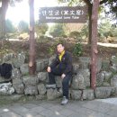 문주란 자생지 이미지