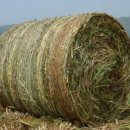 거창군농업기술센터 이미지