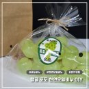 DIY 천연 비누 및 천연 화장품 | 천연비누 DIY 키트 솔직후기🧼 실리콘 몰드부터 향료까지 고급스럽게!