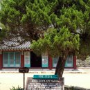 [공주 마곡사] 어린이날 태화산 마곡사 가족 나들이♪