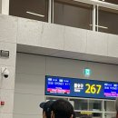 시드니모텔 | 시드니 공항 근처 호텔 이비스 버짓 시드니 에어포트 솔직 후기