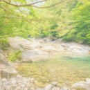 갑을가든 - 산청군 | 경남 산청 계곡 추천 BEST 6｜올여름 꼭 가봐야 할 산청 물놀이 명소