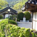 김영삼농장 이미지