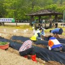 창암농장 이미지