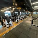 단디 휘트니스 영남대점 이미지