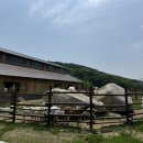 홍천산양목장 이미지