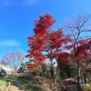 화목행정사 이미지