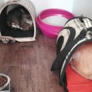 호텔마리 이미지