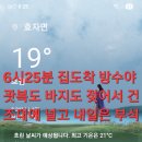 우중불고기 Daum카페