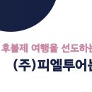 피엘 주식회사 이미지