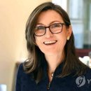 (주)우드사이로
