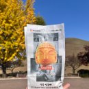 전원의 낭만 | 경주 가성비 숙소 황리단길 가까운 스테이 낭만여행 친구랑 내돈내산 1박2일 숙박 후기