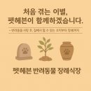 경북반려동물장례식장 | 펫헤븐은 대구·경북에서 신뢰로 이어지는 반려동물 장례식장입니다