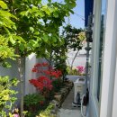 신선동-1 이미지