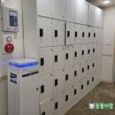 푸른주유소 | [7살 아이랑] 서울형 키즈카페 중랑구 면목5동점 (중랑실내놀이터 늘푸른공원점)