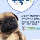 (주)네츄라필 이미지