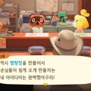 도토리캠핑장 이미지