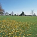 뉴그린환경 이미지