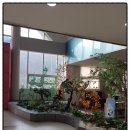 청소년수련관(본관) 이미지