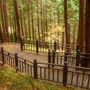 여수봉황산자연휴양림 이미지