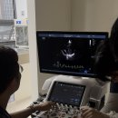 오디세이 동물심장내과 이미지